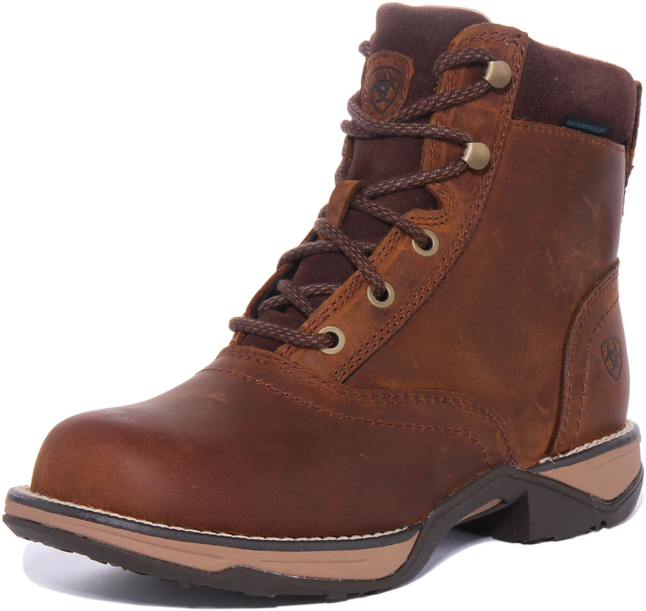 Ariat Anthem H20 In Brown For Women