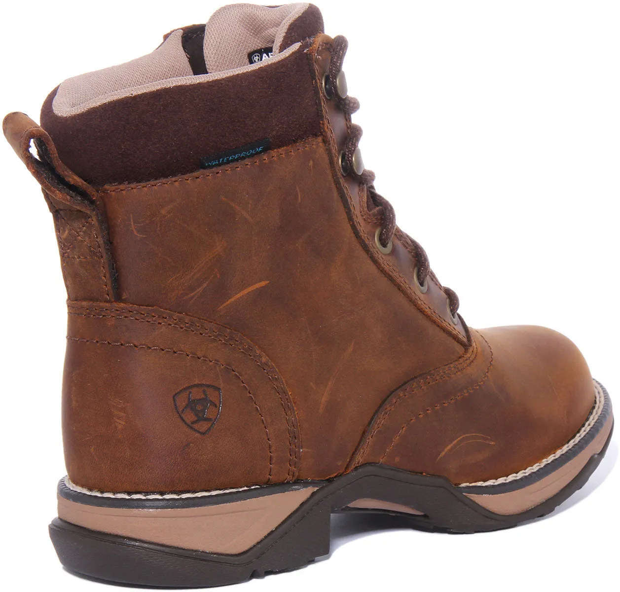 Ariat Anthem H20 In Brown For Women